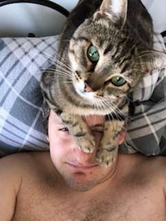 кошка на голове у хозяина