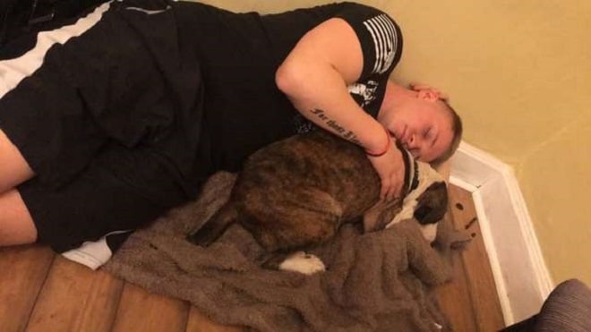 Парень спит с собакой