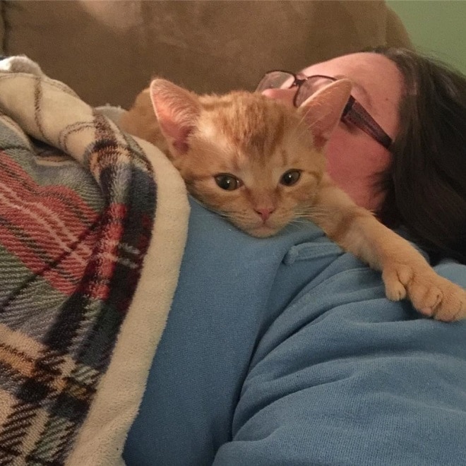 Котенок лежит на женщине