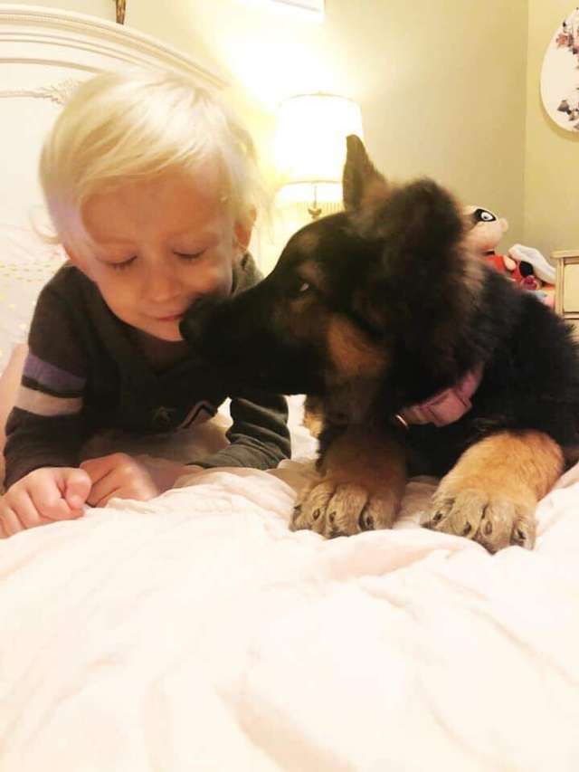 ребенок играет с собакой