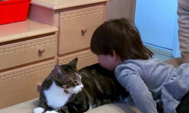 Девочка играет с котом