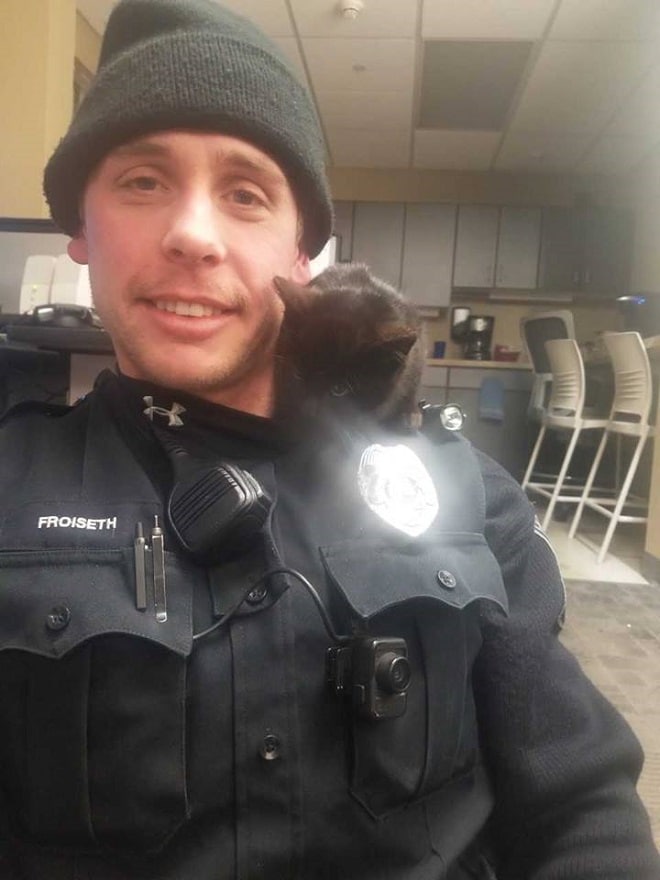 Полицейский и котенок