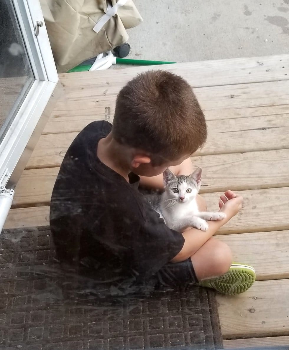 мальчик играет с котенком