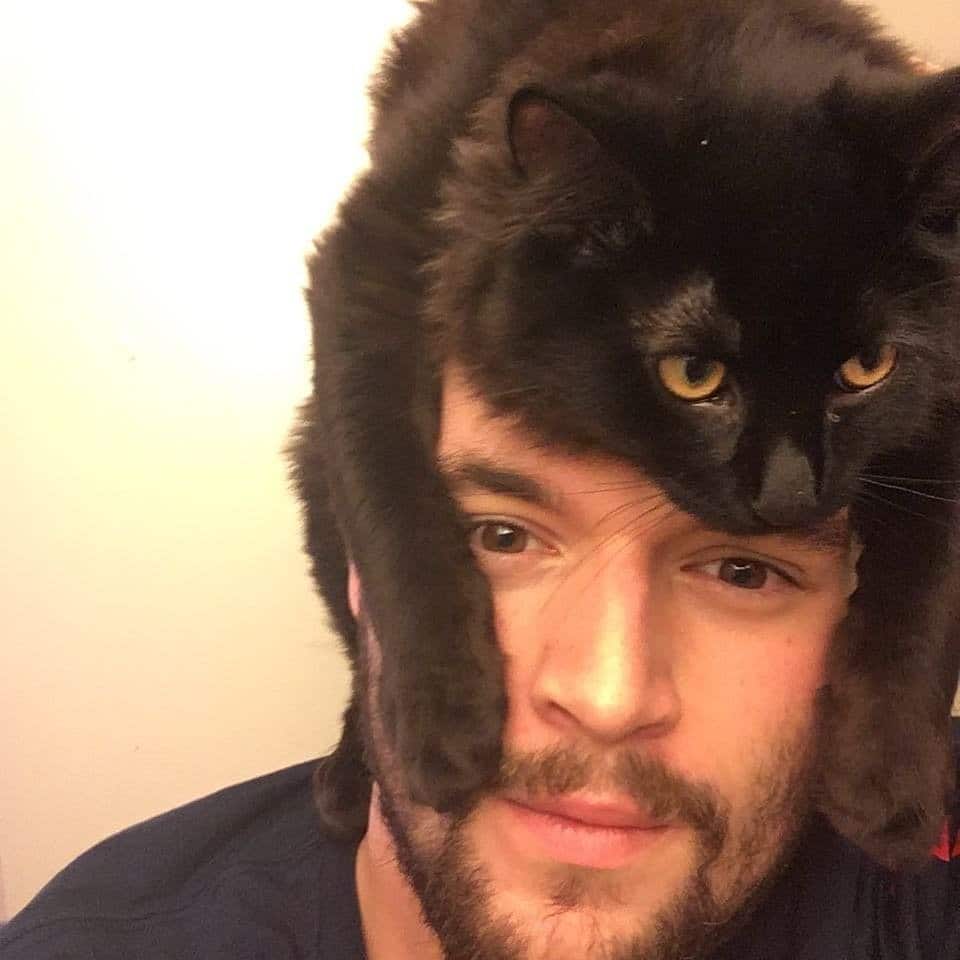 кот на голове у хозяина