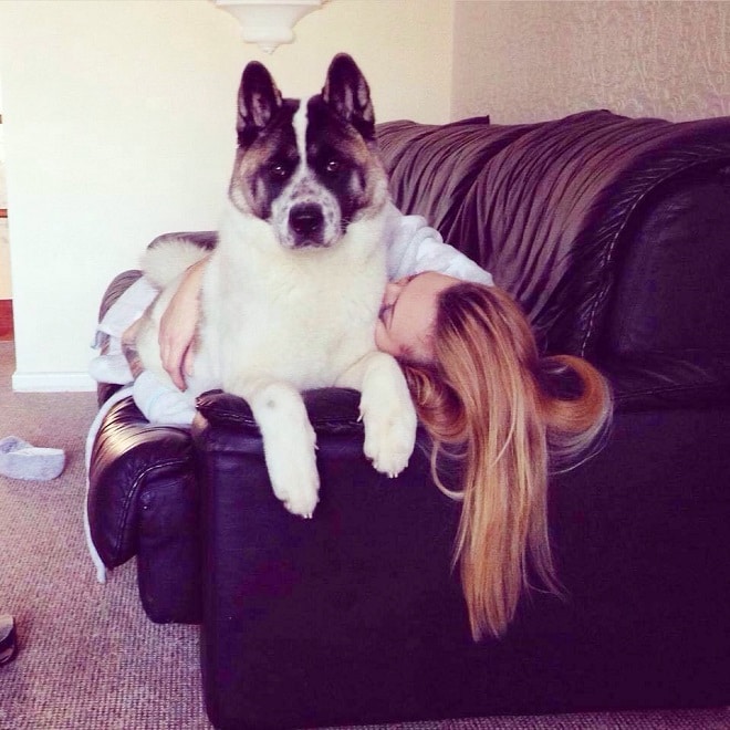 Собака на диване с хозяйкой