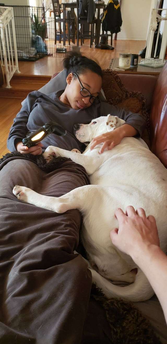 собака с девушкой на диване