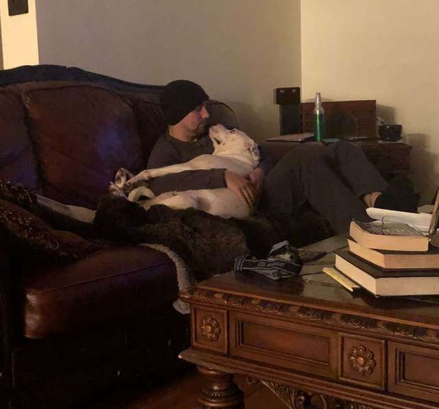 собака с парнем на диване