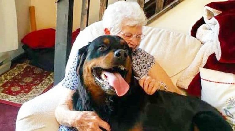 Dog and Grandma