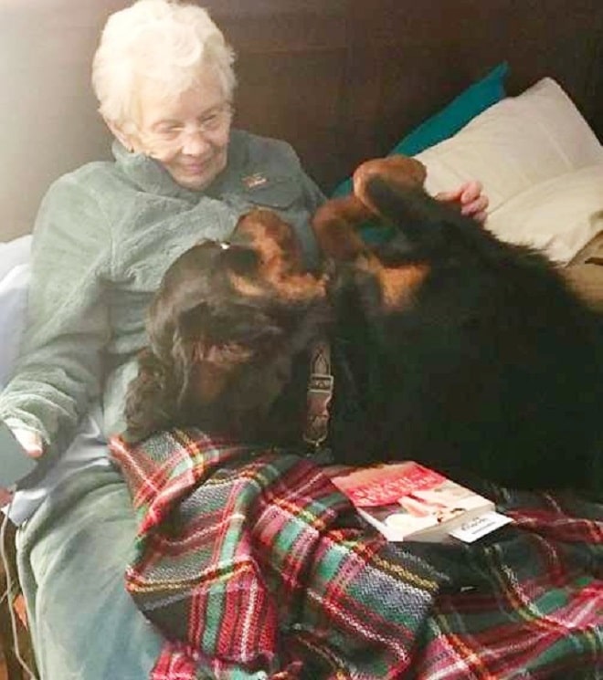 Бабушка с собакой