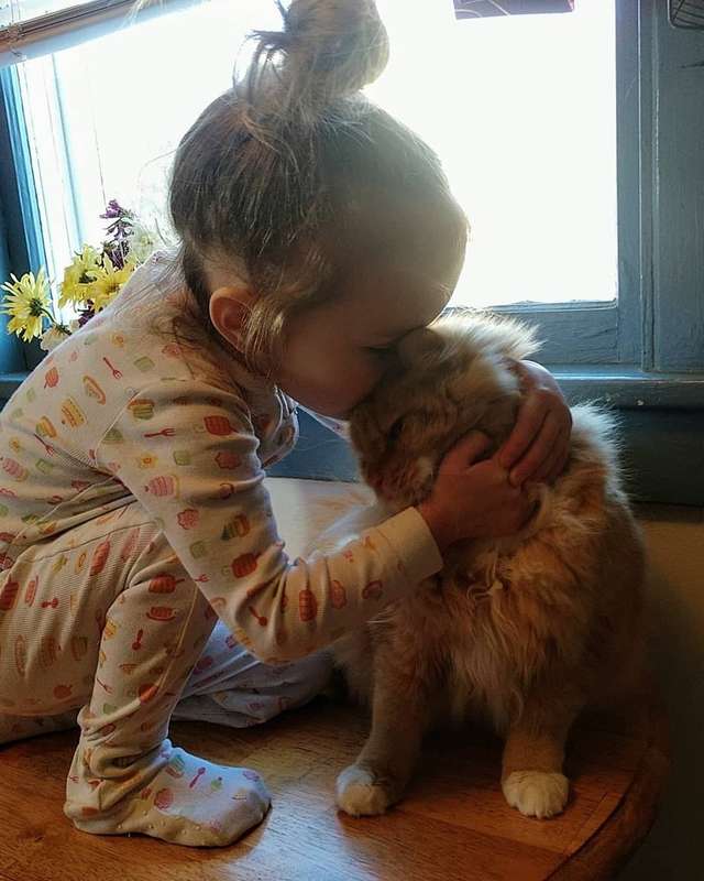 девочка и кот