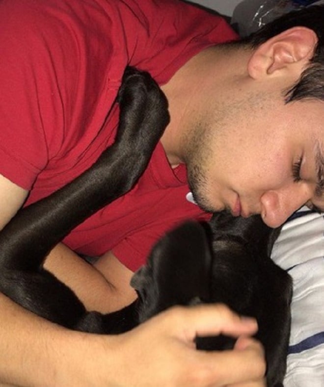 Мужчина спит с собакой