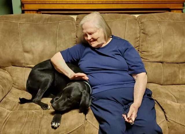 пес с бабушкой