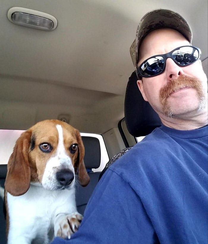 пес и мужчина в машине