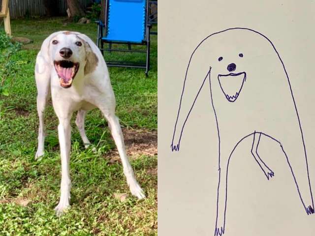рисунок собаки