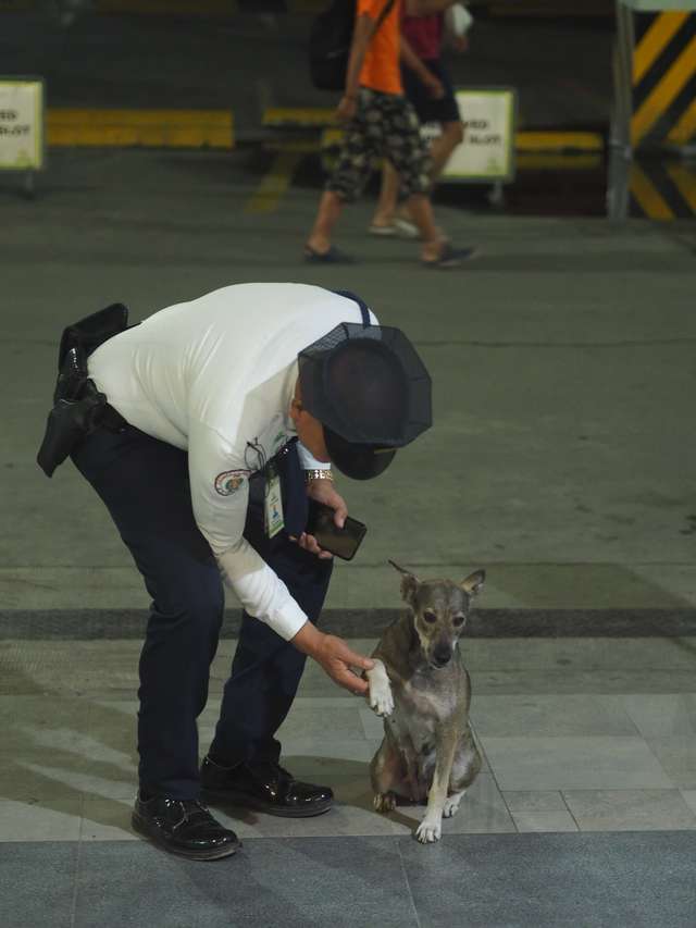 охранник и собака