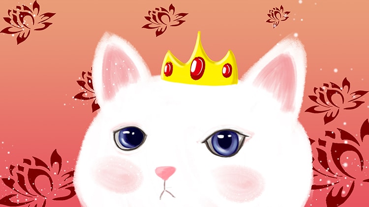 cute white cat ad background_940614