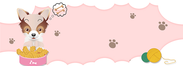 pet background_431033