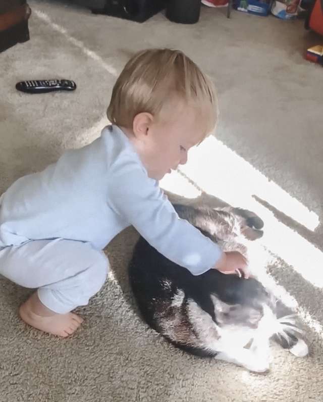 ребенок и кошка