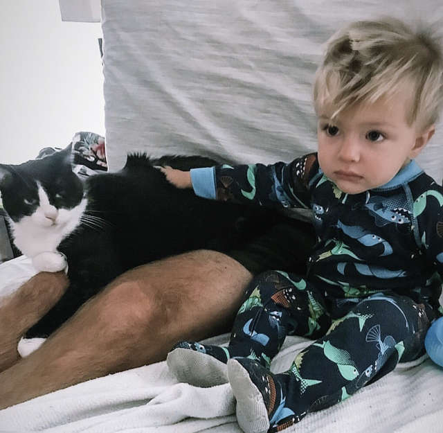 кошка с мальчиком