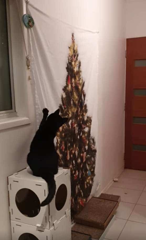 кошка и елка