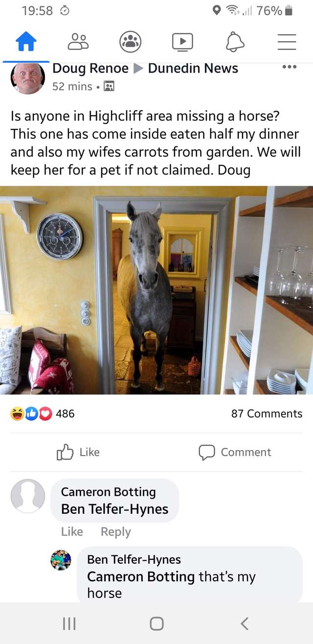 лошадь в доме