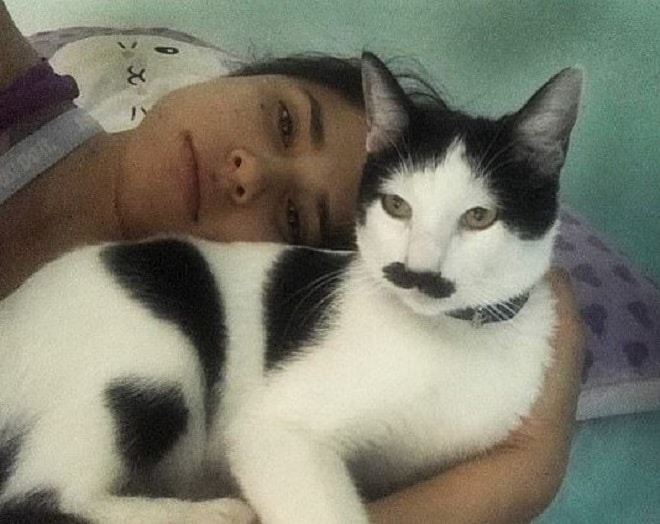 Девушка лежит с котом