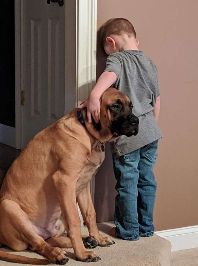 мальчик с псом