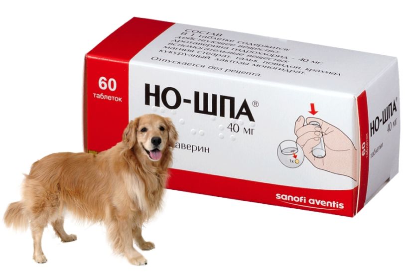 Можно собаке давать обезболивающие таблетки