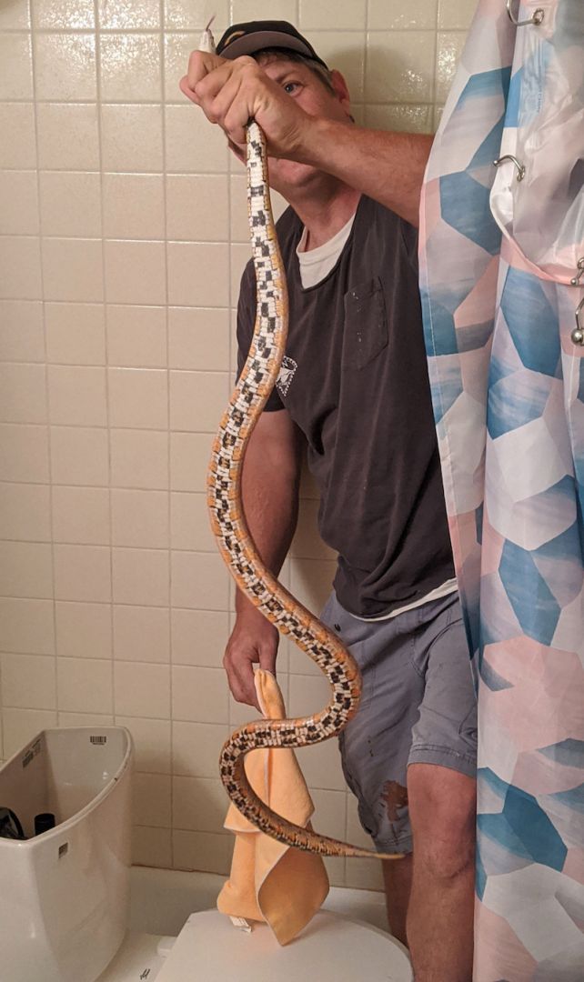 фотография Уэсли со змеей в руках
