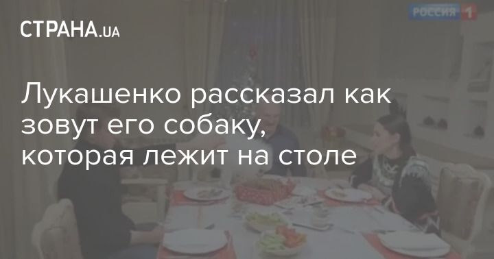 Собака на столе у лукашенко