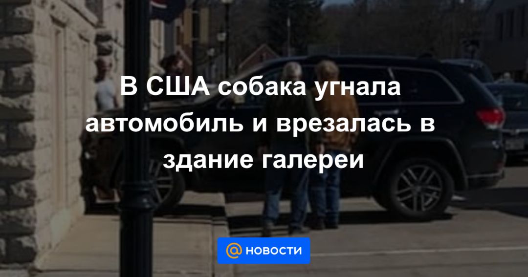 Собака угнала машину своего хозяина и попала в дтп