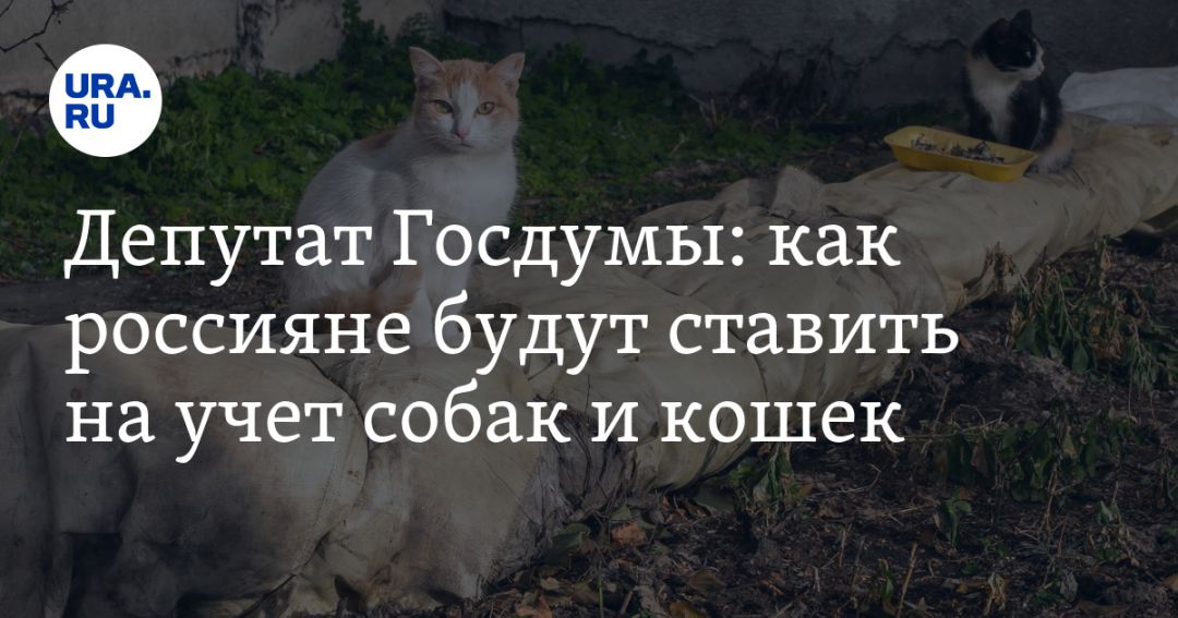 Депутат бурматов заявил о планах обязать россиян маркировать домашних животных