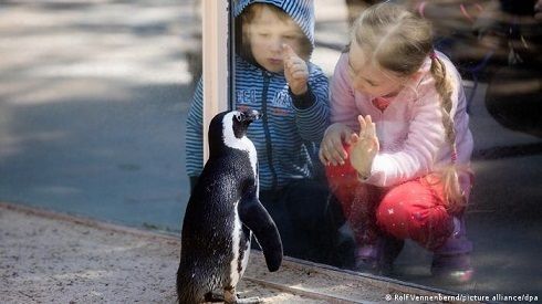 Пенсионер в Германии купил более 30 тысяч билетов в зоопарк, чтобы подарить их детям