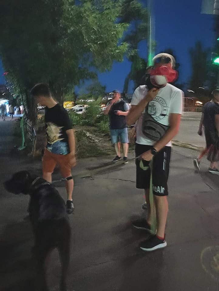 В Киеве бойцовская собака держит в страхе весь район: нападает без намордника на детей