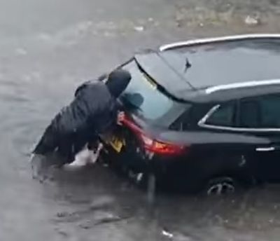 Курьез: в Шотландии собака героически помогла хозяйке вытолкать машину из воды. ФОТО