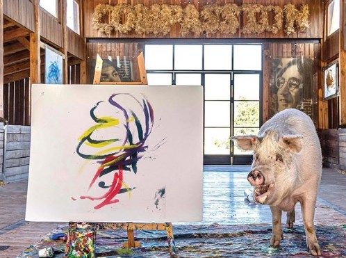 Курьез: в Африке за 20 тысяч евро продали картину, которую нарисовал поросенок. ФОТО