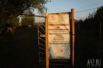Фото: «Просто минное поле»: кузбассовцы пожаловались на повсеместное отсутствие площадок для выгула собак 1