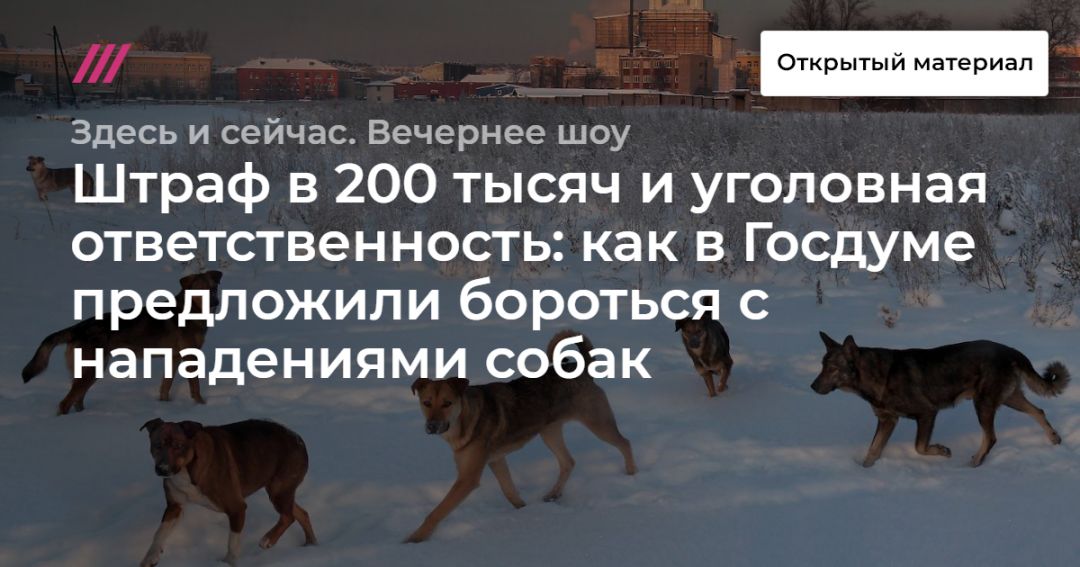 Бороться предложить. Собака по версии воли. Собака которая кормила своего щенка через реку. Видео ,где бродячих собак во Франции скармливают акулам. Собака потише чтобы ее спасти.