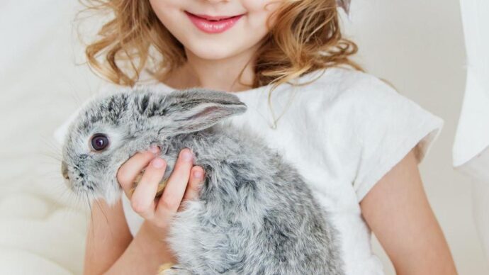 серый кролик в руках у девочки
