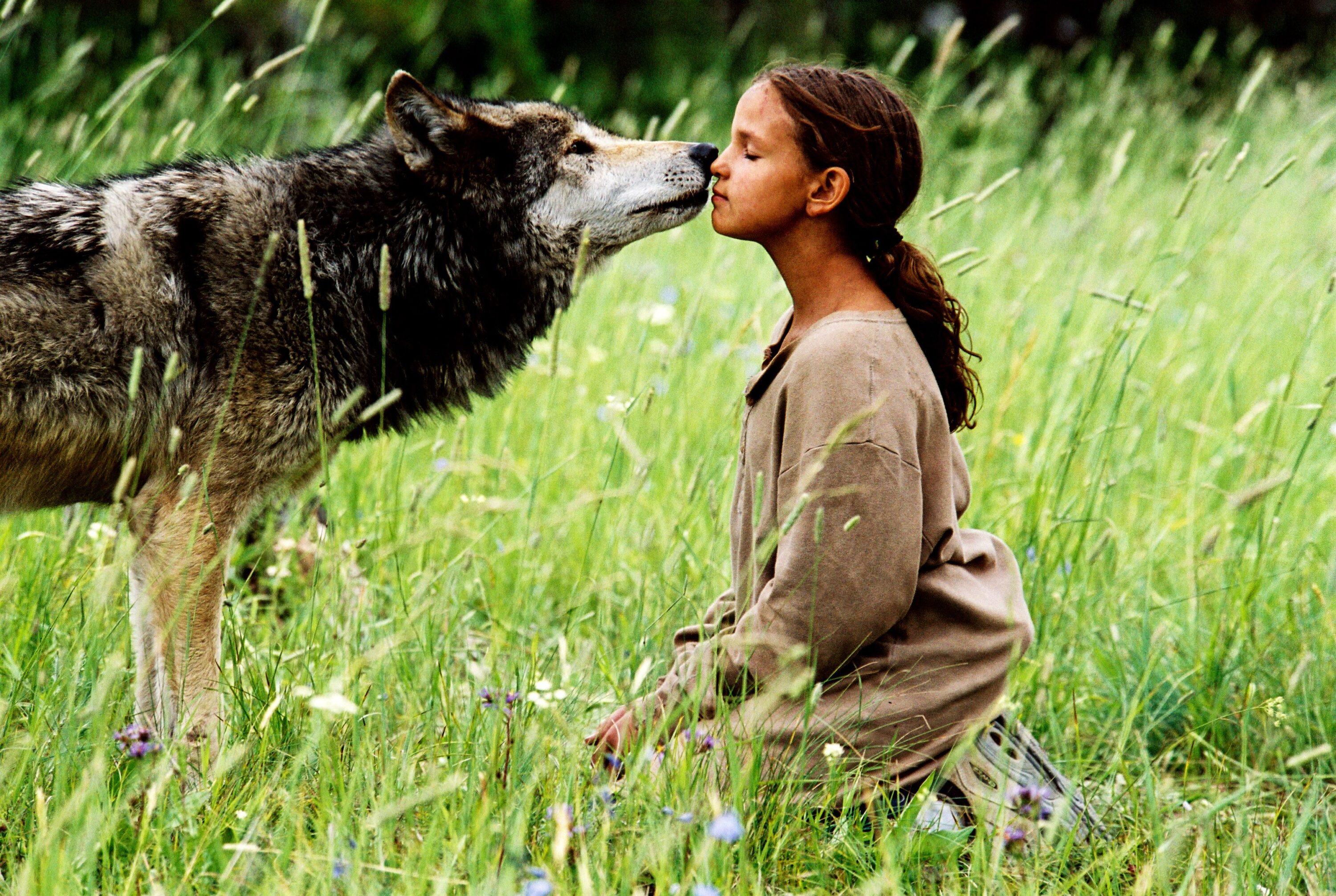 девочка и волк
