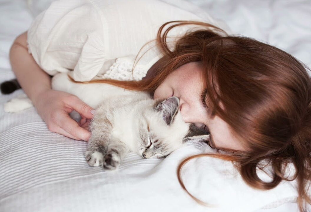 Почему кошки любят спать на людях