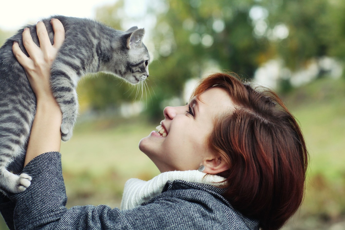 Как проявляется кошачья любовь к хозяину